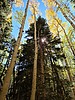 photo thumbnail #11