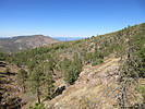 photo thumbnail #8