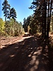 photo thumbnail #10