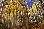 photo thumbnail #8