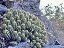 photo thumbnail #3