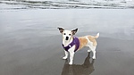 photo thumbnail #10