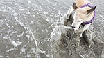 photo thumbnail #9