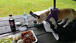 photo thumbnail #5