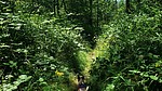 photo thumbnail #13