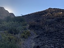photo thumbnail #3