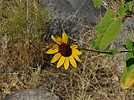 photo thumbnail #12