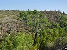 photo thumbnail #14