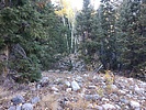 photo thumbnail #12