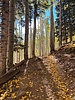 photo thumbnail #10