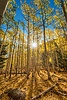 photo thumbnail #14