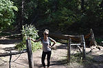 photo thumbnail #2