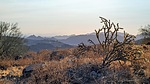 photo thumbnail #9
