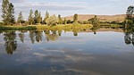 photo thumbnail #8