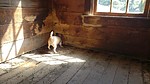 photo thumbnail #10