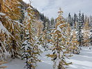 photo thumbnail #6