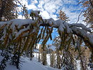 photo thumbnail #8