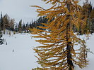photo thumbnail #12