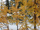 photo thumbnail #14
