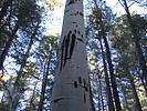 photo thumbnail #9