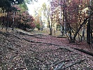 photo thumbnail #12