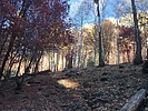photo thumbnail #14
