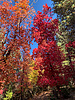 photo thumbnail #11