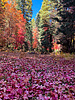 photo thumbnail #14