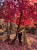 photo thumbnail #15