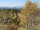 photo thumbnail #1
