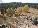 photo thumbnail #4