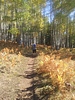 photo thumbnail #5
