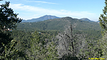 photo thumbnail #13