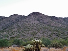 photo thumbnail #5