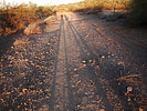 photo thumbnail #7