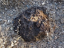 photo thumbnail #14