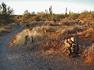 photo thumbnail #15