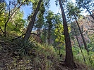 photo thumbnail #5