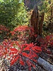 photo thumbnail #9