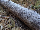 photo thumbnail #14