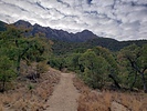 photo thumbnail #5