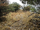photo thumbnail #14