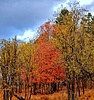photo thumbnail #5