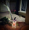 photo thumbnail #4
