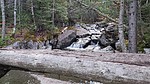 photo thumbnail #6
