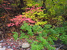 photo thumbnail #15