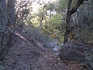 photo thumbnail #10