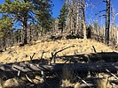 photo thumbnail #2