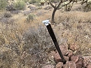 photo thumbnail #4