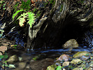 photo thumbnail #9